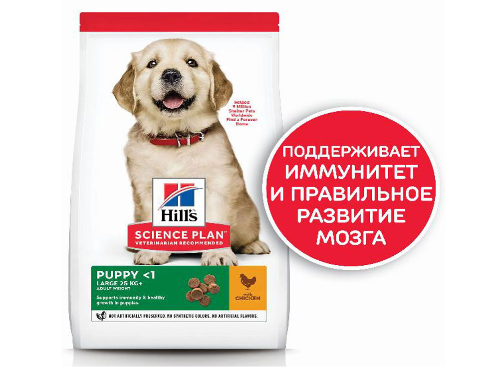 Hill's Science Plan Maxi Puppy Chicken Hills