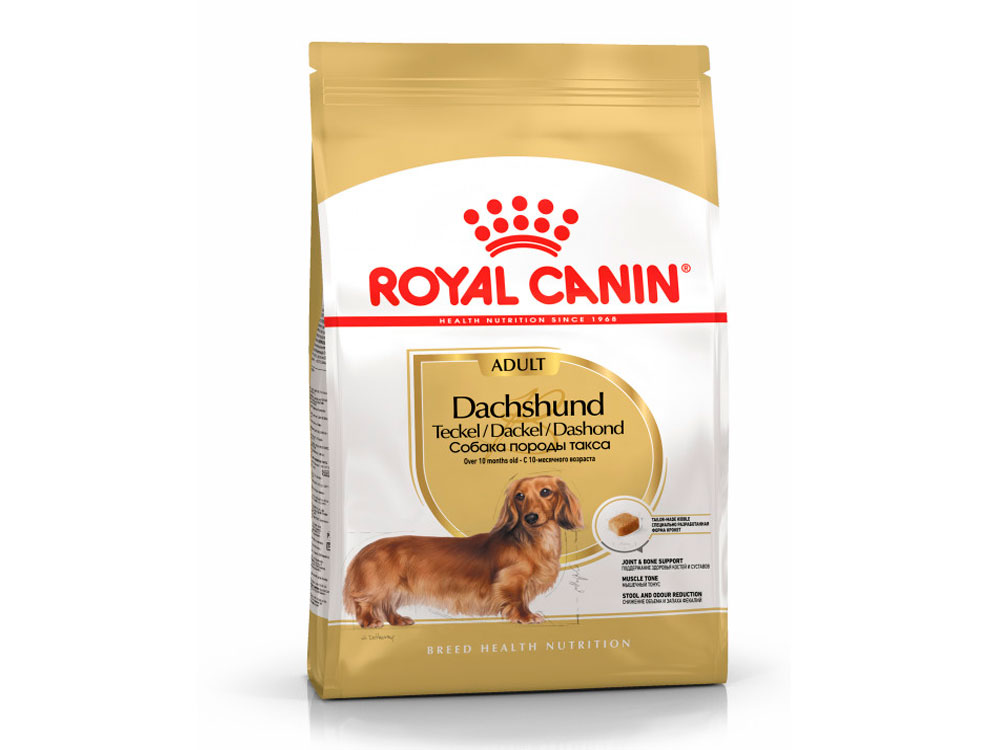 Royal Canin Dachshund Adult Royal Canin 