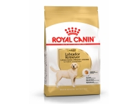 Royal Canin Labrador Adult  Royal Canin 