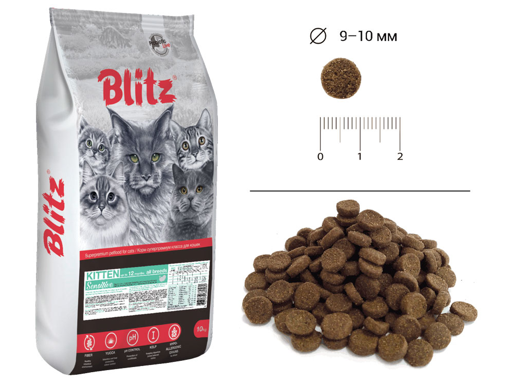 BLITZ Cat Kitten All Breeds Sensitive Blitz