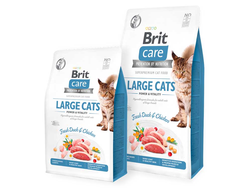 Brit Care GF Large Cats Power & Vitality Brit