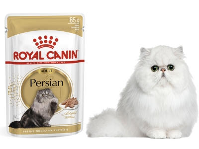 Royal Canin Adult Persian в паштете