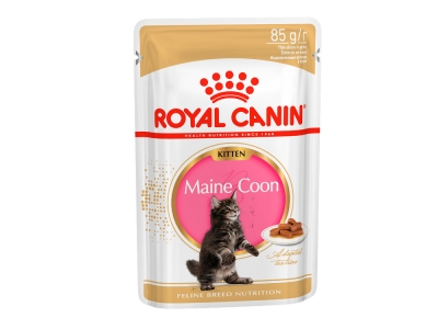 Royal Canin Kitten Maine Coon в соусе