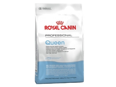 Royal Canin Queen