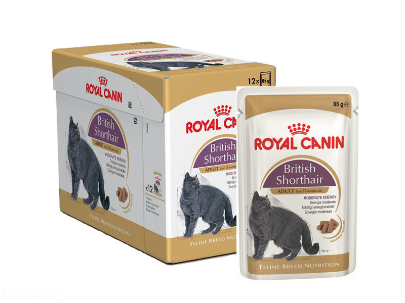 Royal Canin British Shorthair Adult в соусе Royal Canin 