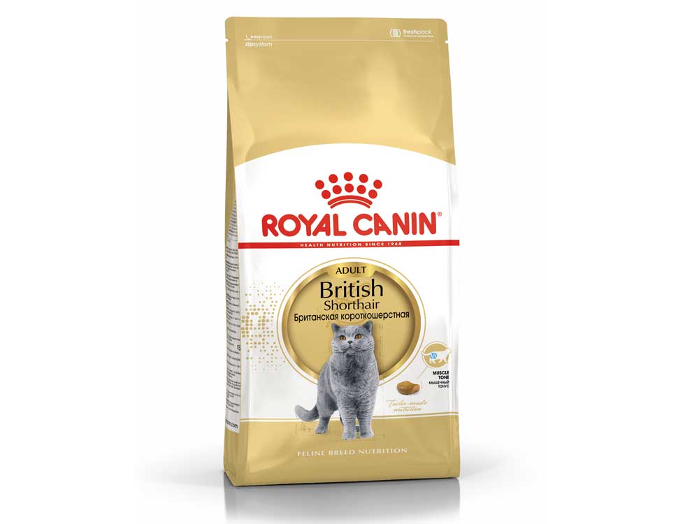 Royal Canin British Shorthair Adult Royal Canin 