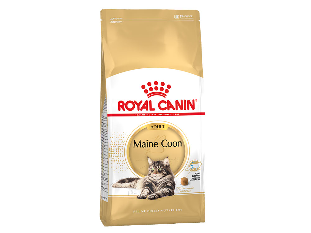 Royal Canin Maine Coon Adult Royal Canin 