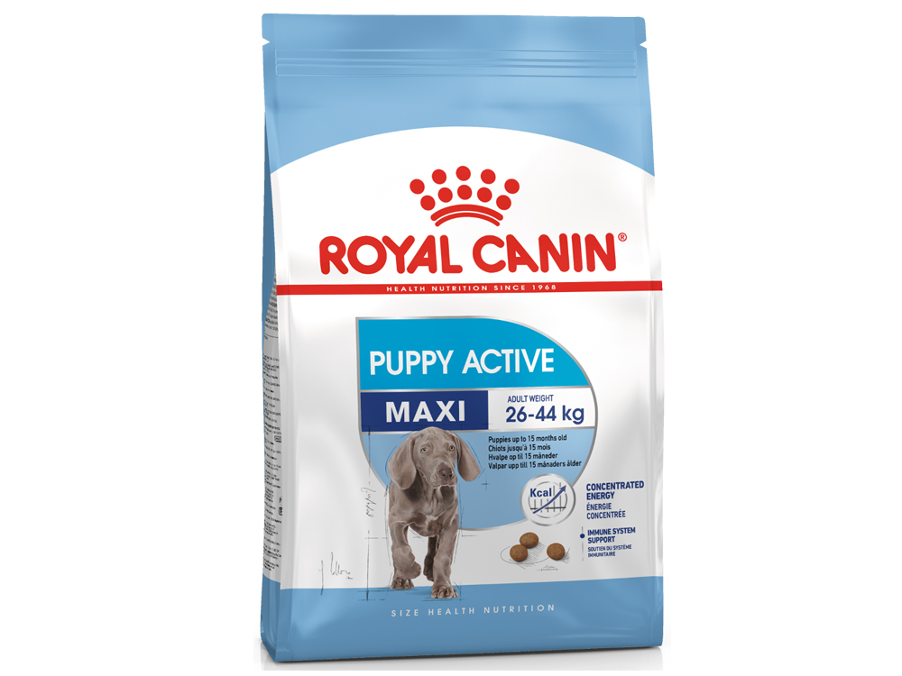 Royal Canin Maxi Puppy Active Royal Canin 