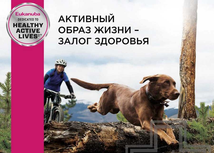 Eukanuba в Бресте