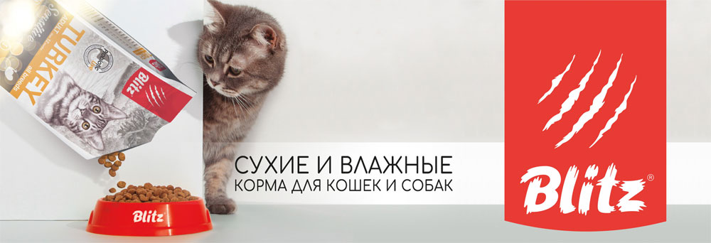 Корм Blitz в Бресте