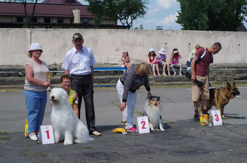 Победители выставки собак  Брест Агрус