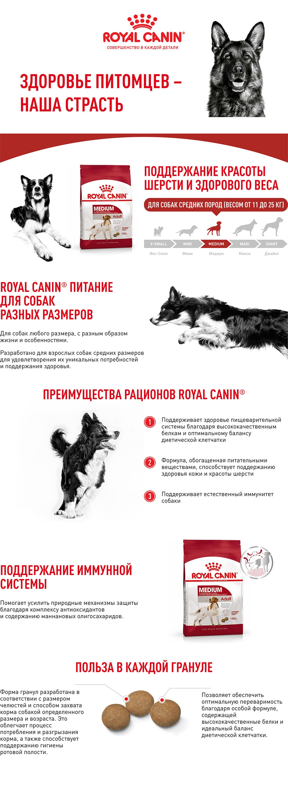 Royal Canin Medium Adult 15 кг